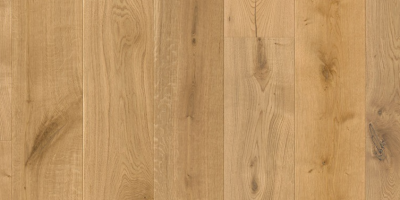 Monarch Oak